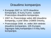 Prancūzijos draudimo rinkos apžvalga ir įvertinimas 6 puslapis