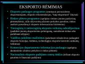 Prekybos ir investavimo politikos 13 puslapis