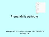 Prenatalinis periodas