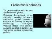 Prenatalinis periodas 2 puslapis