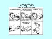 Prenatalinis periodas 16 puslapis