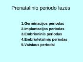 Prenatalinis periodas 6 puslapis