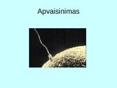 Prenatalinis periodas 7 puslapis