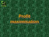 Profit maximisation