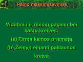 Profit maximisation 11 puslapis