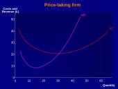 Profit maximisation 12 puslapis