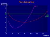 Profit maximisation 13 puslapis