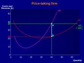Profit maximisation 14 puslapis
