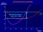 Profit maximisation 15 puslapis