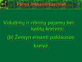 Profit maximisation 16 puslapis