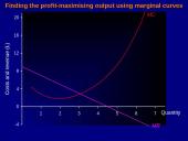 Profit maximisation 17 puslapis