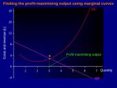 Profit maximisation 18 puslapis