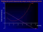 Profit maximisation 19 puslapis