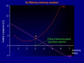 Profit maximisation 20 puslapis