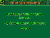 Profit maximisation 6 puslapis