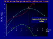 Profit maximisation 9 puslapis