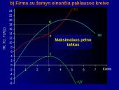 Profit maximisation 10 puslapis