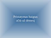 Programų tikrinimas 11 puslapis