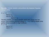 Programų tikrinimas 6 puslapis