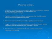 Prokariotų morfologija 11 puslapis