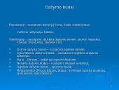 Prokariotų morfologija 18 puslapis