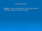 Prokariotų morfologija 6 puslapis