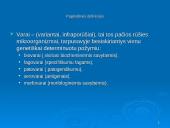 Prokariotų morfologija 7 puslapis