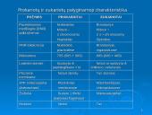 Prokariotų morfologija 9 puslapis