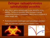 Žalingas radioaktyvumo poveikis gyvajam organizmui 2 puslapis