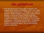 Žalingas radioaktyvumo poveikis gyvajam organizmui 5 puslapis