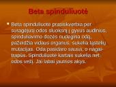 Žalingas radioaktyvumo poveikis gyvajam organizmui 6 puslapis