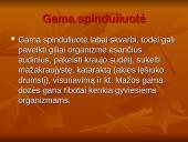 Žalingas radioaktyvumo poveikis gyvajam organizmui 7 puslapis