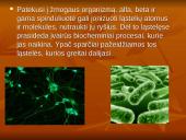 Žalingas radioaktyvumo poveikis gyvajam organizmui 8 puslapis