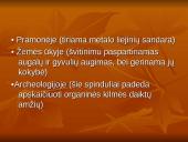 Žalingas radioaktyvumo poveikis gyvajam organizmui 10 puslapis