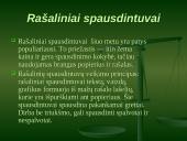 Rašalinių ir lazerinių spausdintuvų lyginamas 5 puslapis