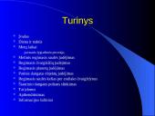 Regimasis dangaus kūnų judėjimas 2 puslapis