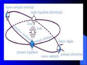 Regimasis dangaus kūnų judėjimas 6 puslapis