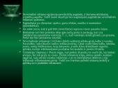 Reklamos reikšmė 3 puslapis