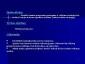 Rėmimo programa ir jos parengimas 2 puslapis