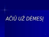 Rėmimo programa ir jos parengimas 11 puslapis