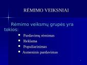Rėmimo programa ir jos parengimas 5 puslapis
