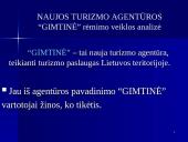 Rėmimo programa ir jos parengimas 7 puslapis