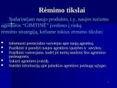 Rėmimo programa ir jos parengimas 8 puslapis