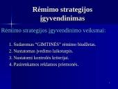 Rėmimo programa ir jos parengimas 9 puslapis