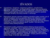 Rėmimo programa ir jos parengimas 10 puslapis