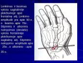 Riešo sąnarys 11 puslapis