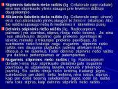 Riešo sąnarys 15 puslapis