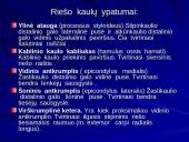 Riešo sąnarys 4 puslapis