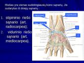 Riešo sąnarys 5 puslapis