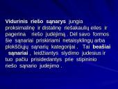 Riešo sąnarys 7 puslapis